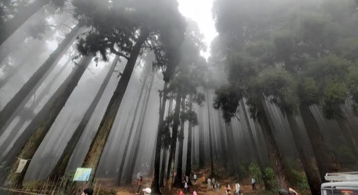 Lama Homestay Darjeeling  Exterior photo